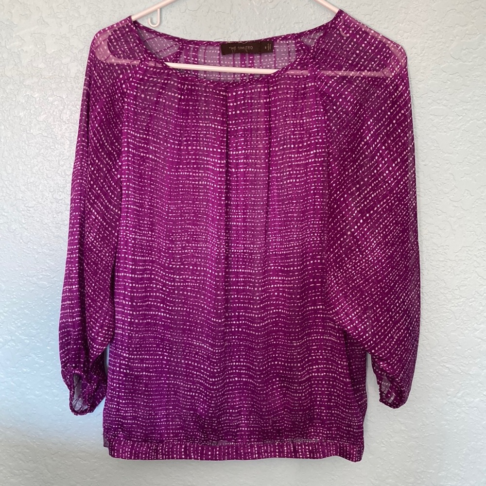 The Limited Sheer Blouse Size S